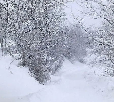 Lefteri's & Loukia's In Tzoumerka With Pool